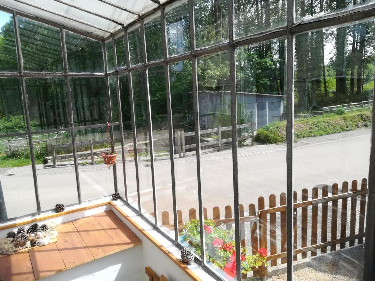 Petit Gite Cocoon Ty Bihan Ar Feunteun Scrignac Exterior photo